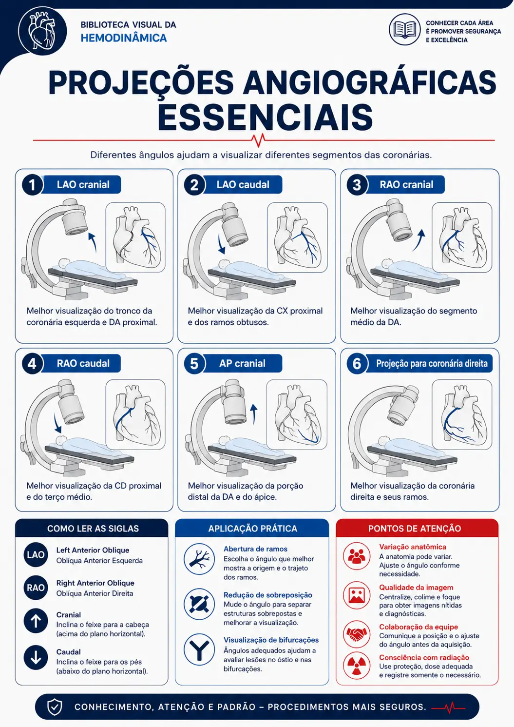 Projeções angiográficas essenciais
