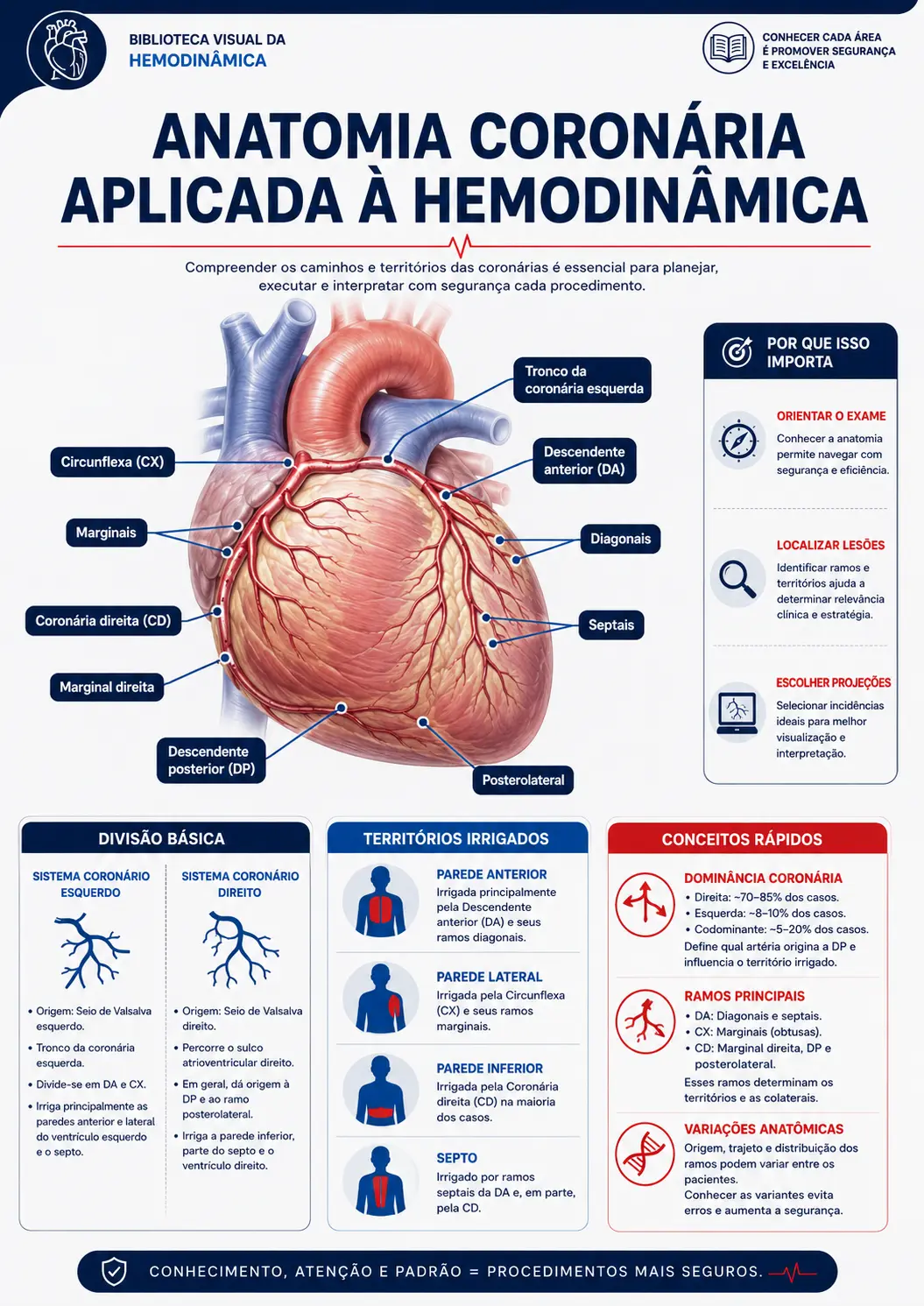 Anatomia coronária aplicada à hemodinâmica